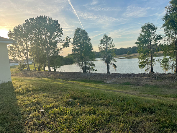 Davenport Tree Removal